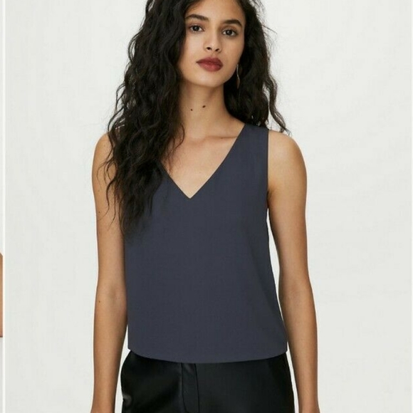 Aritzia Tops - **SOLD** Aritzia Babaton Murphy blouse